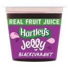 Hartley's Blackcurrant Jelly Pot 125g