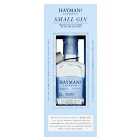 Haymans Small Gin 20cl
