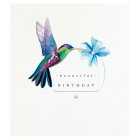 Birthday Greetings Card - Hummingbird, 1