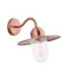 Pacific Lifestyle Metal/Glass Fisherman Wall Light - Copper