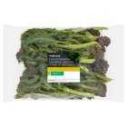 Waitrose Purple Broccoli, 400g
