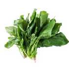 Natoora Large Leaf Unwashed Spinach 200g