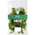 Cook With M&S Mint 25g
