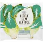 M&S Little Gem Lettuce 2 per pack