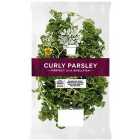 Cook With M&S Large Curly Parsley 50g