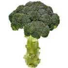 M&S Broccoli 300g