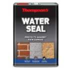 Thompson's Clear Water Seal - 1L