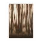 Premier Housewares Astratto Black/Natural Classic Wall Art
