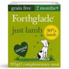 Forthglade Just Lamb Grain Free Wet Dog Food 395g