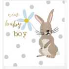 Caroline Gardner New Baby Boy Rabbit Card