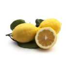 Natoora Large Unwaxed Lemons 350g
