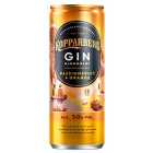 Kopparberg Passion Fruit & Orange Gin & Lemonade 250ml