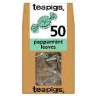 Teapigs Peppermint Leaves Tea Bags 50 per pack