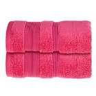 Allure Zero Twist 2 Pack Hand Towels - Hot Pink