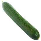 Wholegood Organic Large Cucumber 300g