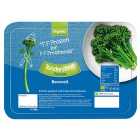 Tenderstem Broccoli Organic Frozen 180g