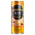 Kopparberg Passionfruit & Orange Gin & Lemonade 250ml
