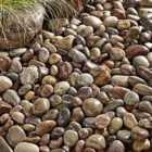 Kelkay North Sea Cobbles Stone 750kg Bulk Bag