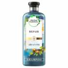 Herbal Essences Bio Renew Argan Oil Shampoo 250ml