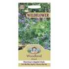 Mr Fothergill's Wildflower Woodland Seeds