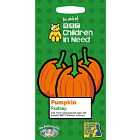Mr Fothergills - Children in Need Pumpkin - Pudsey - 100 Seeds