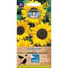 Mr Fothergill's Sunflower Hallo Seeds (30 Pack)