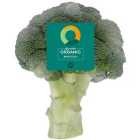 Ocado Organic Broccoli 300g