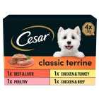 Cesar Classics Terrine Dog Food Trays Mixed in Loaf 4 x 150g