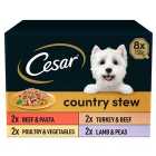 Cesar Country Stew Adult Wet Dog Food Trays Special Selection 8 x 150g