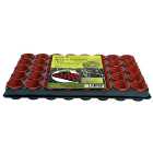 Growing Tray with Round Pots - 40 x 6cm