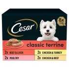 Cesar Classic Terrine Selection, 8x150g