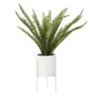 Fern White Cement Pot with a Iron Stand