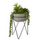 Mixed Succulent Grey Cement Pot with a Metal Stand