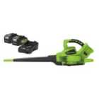 Greenworks 48v Cordless Blower & Vacuum w/Batteries, Charger