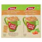 Telma Chicken Flavour With Croutons Cup Of Soup 2 x 24g