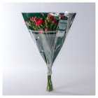 Waitrose Foundation Spray Carnations Mix, 1Each