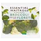 Essential Broccoli Florets, 240g