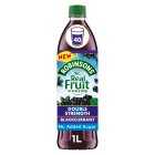 Robinsons Double Strength Blackcurrant No Added Sugar Squash, 1litre