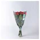 Waitrose Long Stem Fdn Roses Bright, each