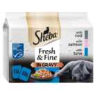 Sheba Fresh & Fine Cat Pouches MSC Fish Collection in Gravy 15 x 50g