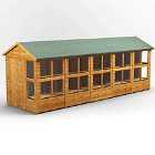 Power Apex 20' x 6' Potting Shed