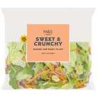 M&S Sweet & Crunchy Salad Washed & Ready 320g