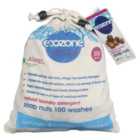 Ecozone Organic Soap Nuts 100 Washes 300g