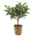 Churchgate Artificial Small Olive Tree in Woven Plant Pot