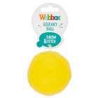 Webbox Squeaky Ball Dog Toy
