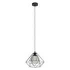 Caged Single Pendant With Smoked Black Glass Inner shade