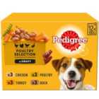 Pedigree Adult Wet Dog Food Pouches Mixed in Gravy 12 x 100g