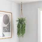 Artificial Trailing Grass in Hanging Grey Plant Pot