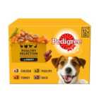 Pedigree Adult Wet Dog Food Pouches Mixed Varieties in Gravy 12 x 100g