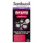 Sambucol Liquid for Kids, 120ml